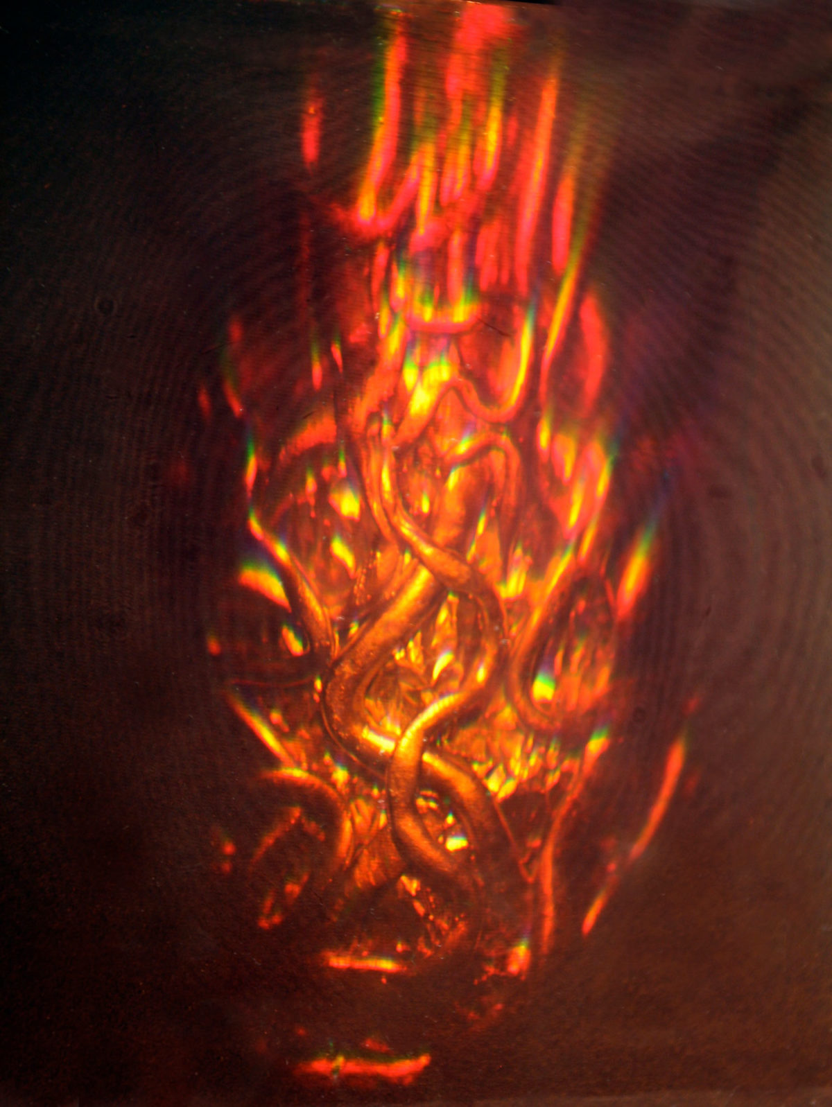 Ladder of Divine Ascent LuzArt