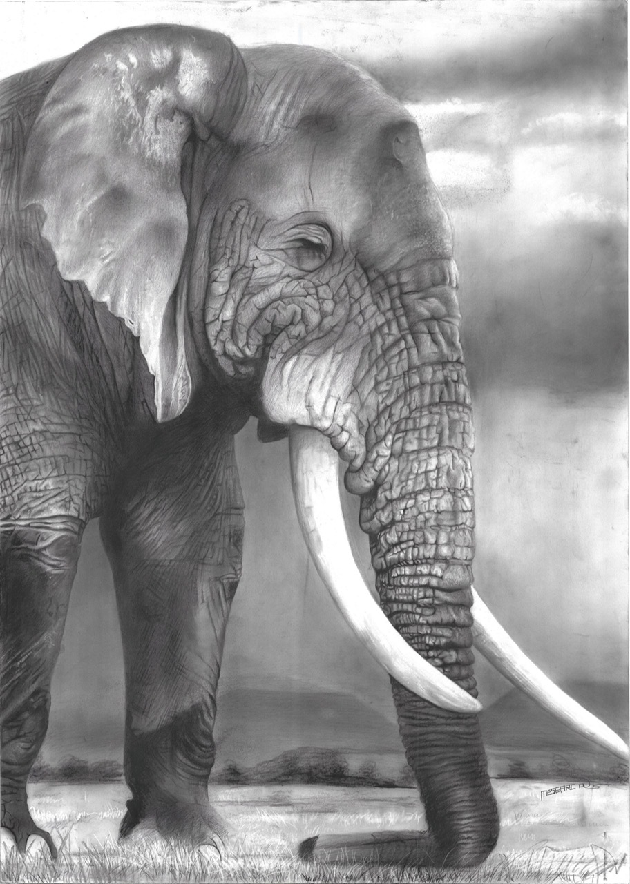 kaweesi-mesearch_gallery_03