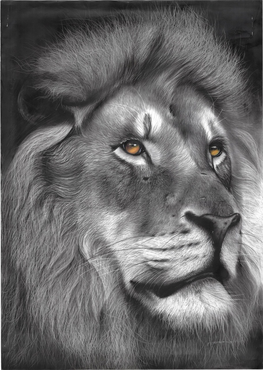 kaweesi-mesearch_gallery_04