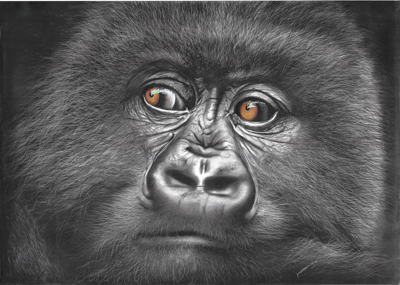 kaweesi-mesearch_gallery_05